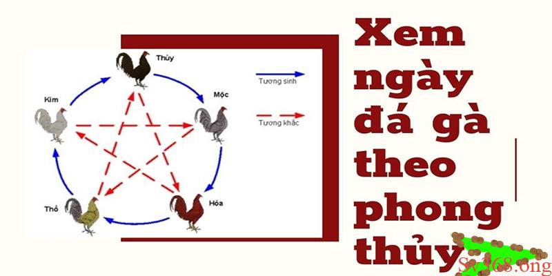 Chia Sẻ Cách Xem Ngày Đá Gà Mang Lại Chiến Thắng Cho Bạn 8 Xem ngày đá gà đang rất phổ biến